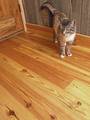 Southern Yellow Pine Flooring / 4.75" width with nail holes and character Southern Yellow Pine Flooring / 4.75" width with nail holes and character